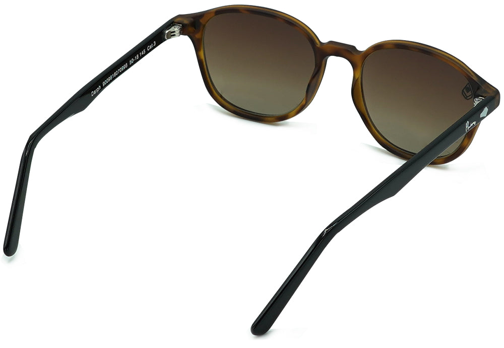 Darph - Phieres - Brn Tort Blk Brn - Sonnenbrille