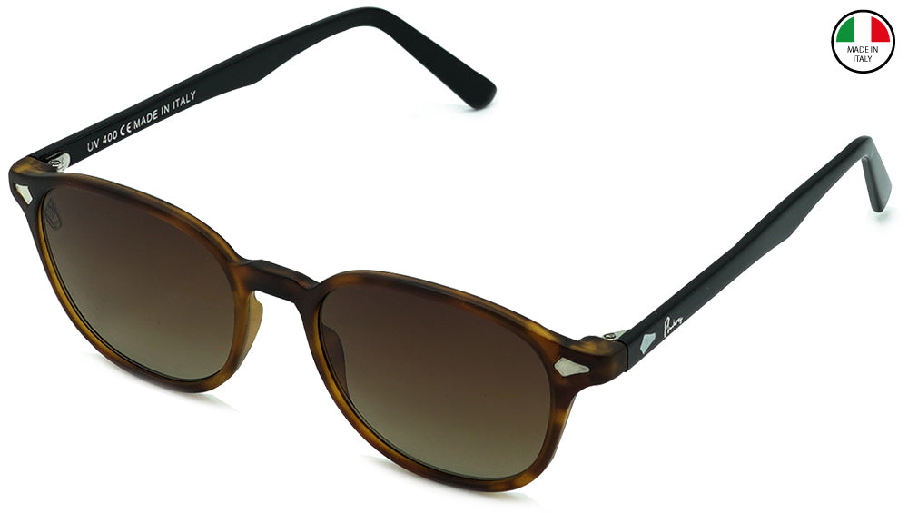 Darph - Phieres - Brn Tort Blk Brn - Sonnenbrille