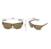 Streepher HF - Phieres - Brown / Brown - Sonnenbrille