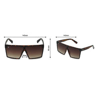 Battlephight - Phieres - Tortoise Brown-Gradi - Sonnenbrille