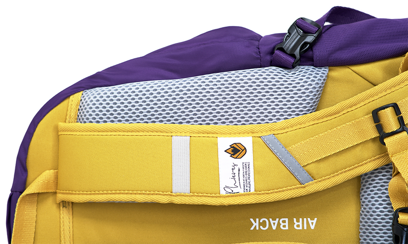 Ephedition 24 Backbag I Purple Haze-Phieres